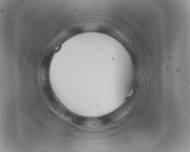 X0000074930215200609291805