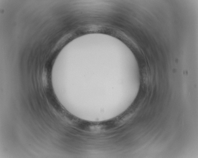 X0000074930216200609291805