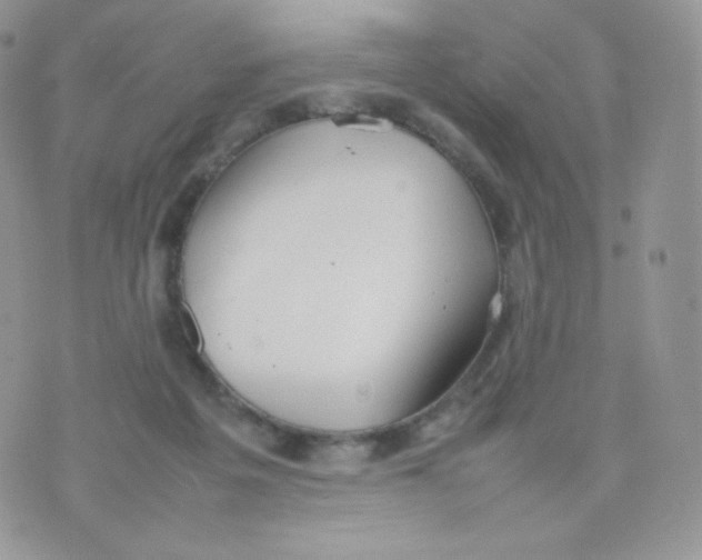 X0000074930217200609291805