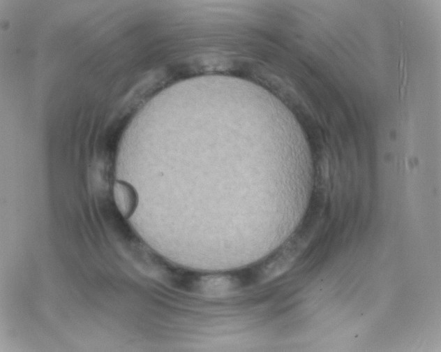 X0000074930218200609291805