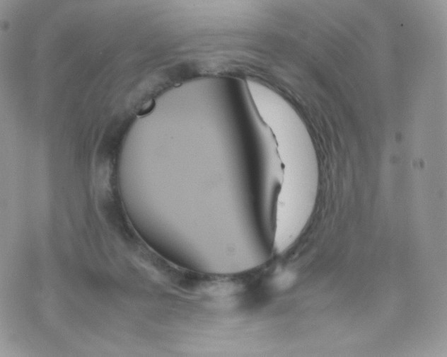 X0000074930219200609291805