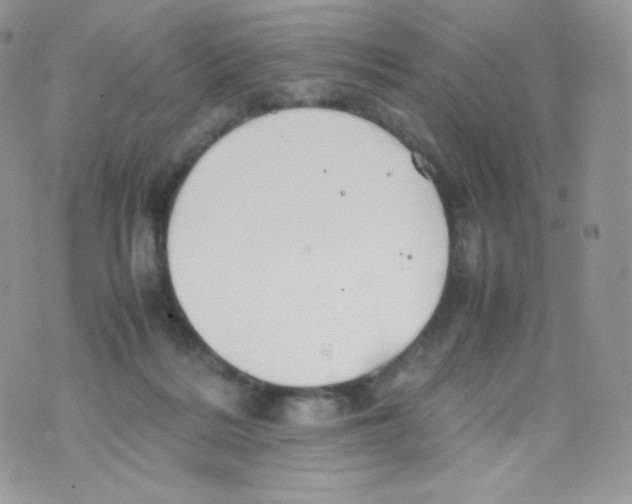 X0000074930220200609291805