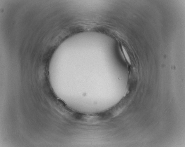 X0000074930221200609291805