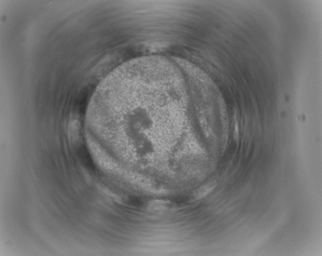 X0000074930222200609291805