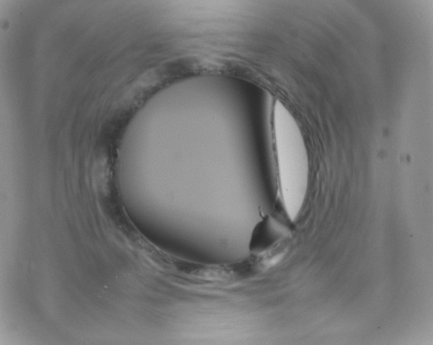 X0000074930223200609291805