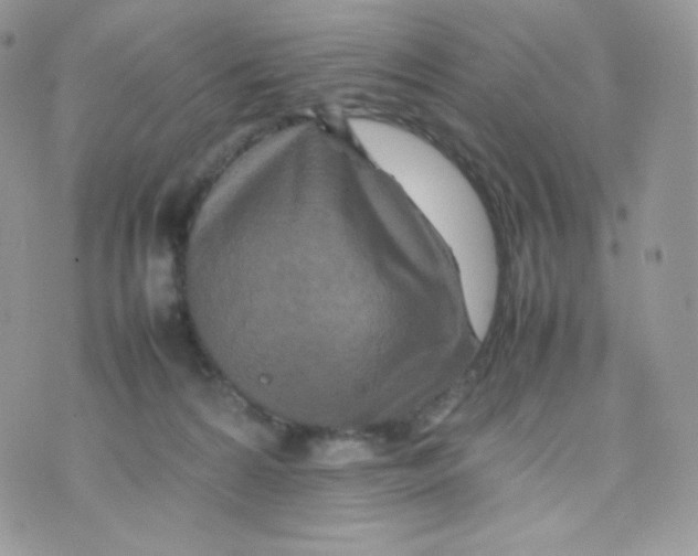 X0000074930224200609291805