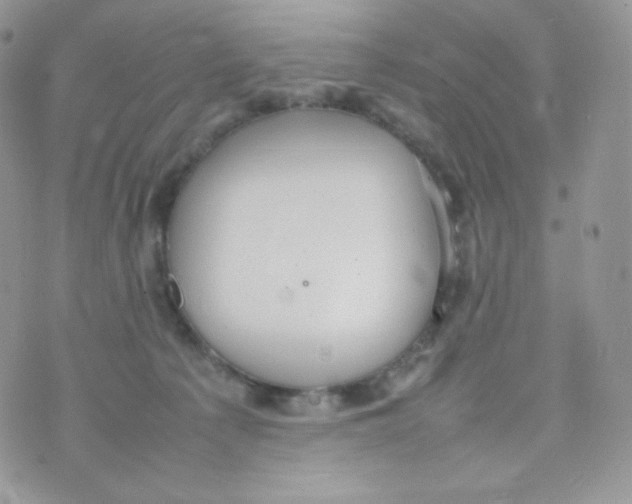 X0000074930225200609291805