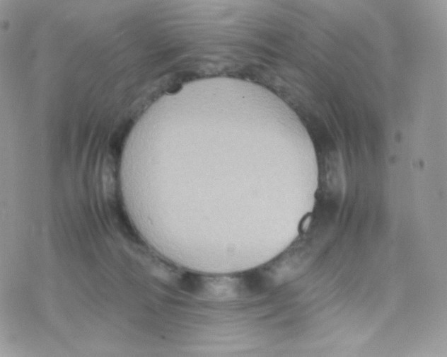 X0000074930226200609291805