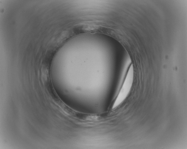 X0000074930227200609291805