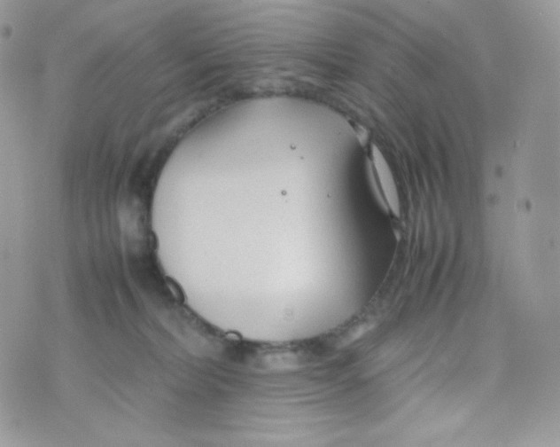 X0000074930228200609291805