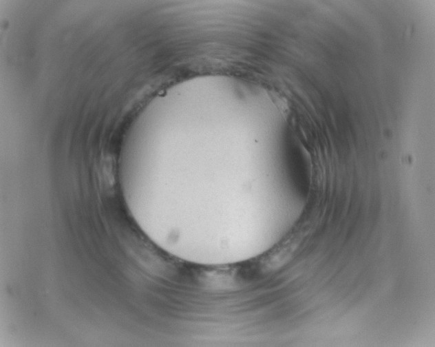 X0000074930232200609291805