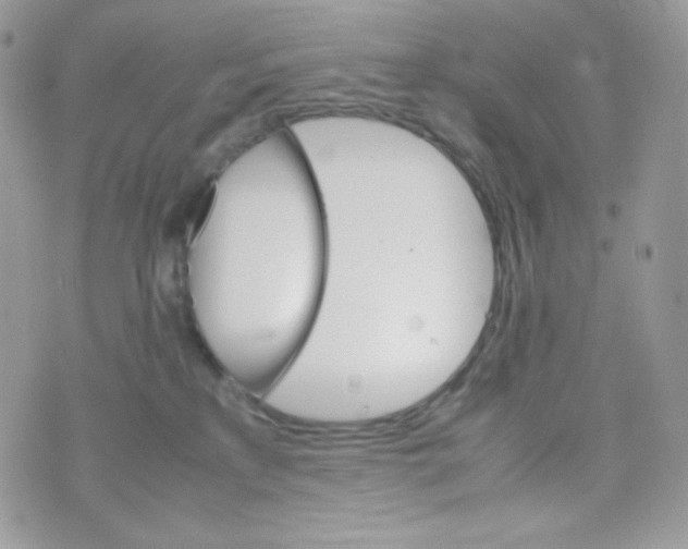 X0000074930233200609291805