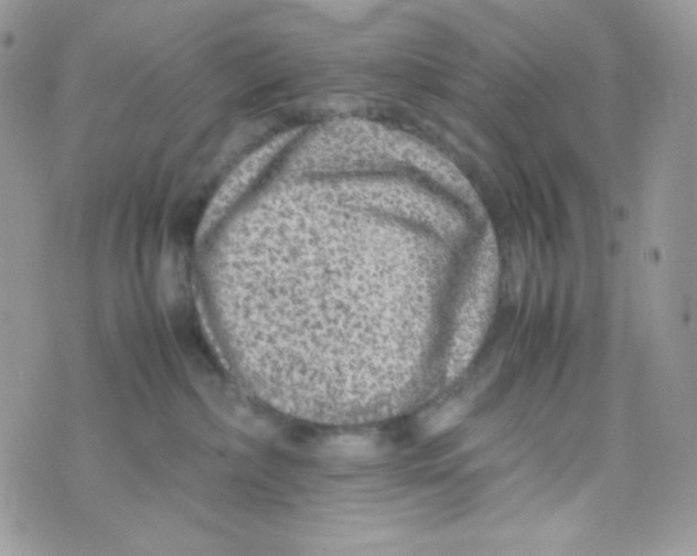 X0000074930236200609291805