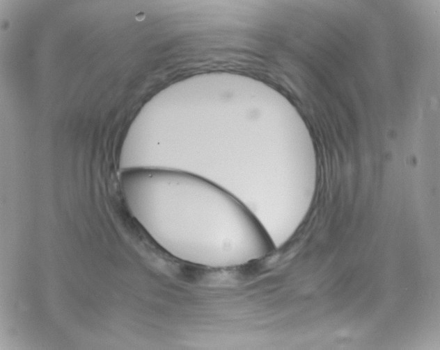 X0000074930237200609291805