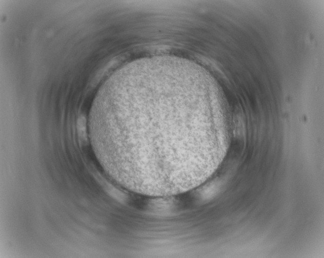 X0000074930238200609291805