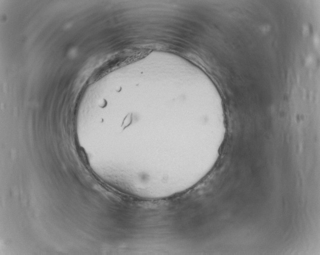 X0000074930241200609291804