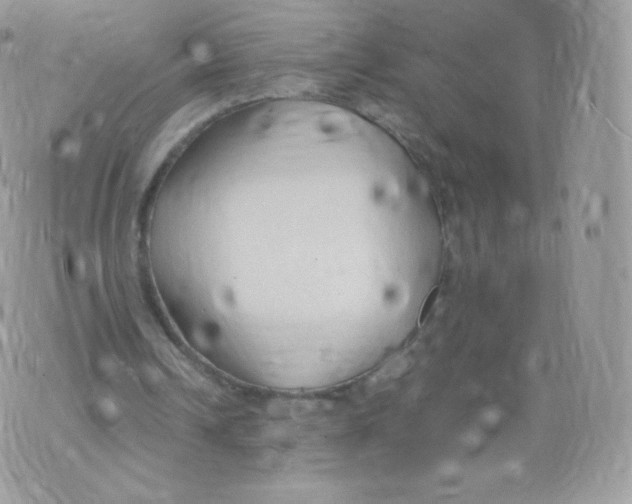 X0000074930242200609291804