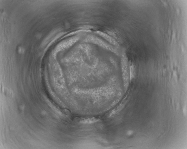 X0000074930243200609291804