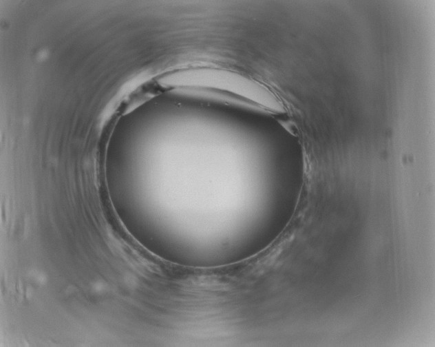 X0000074930244200609291804