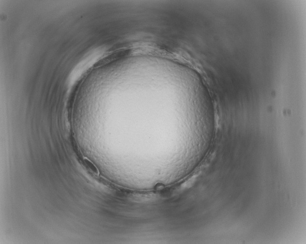 X0000074930245200609291804