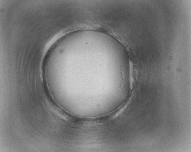 X0000074930246200609291804