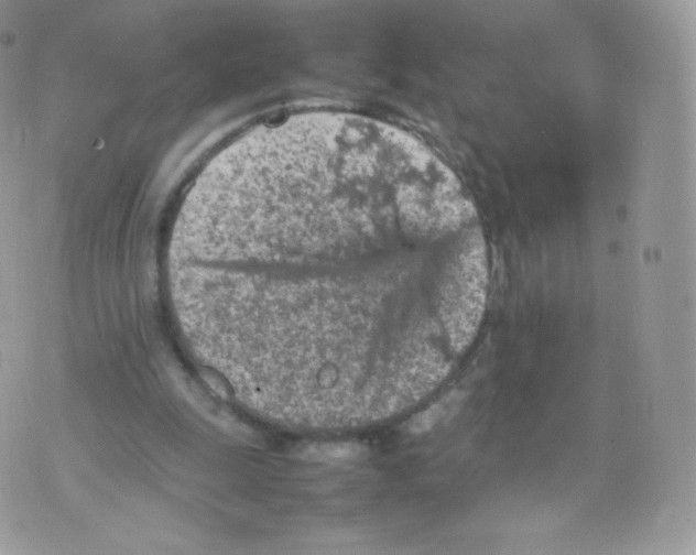 X0000074930247200609291804