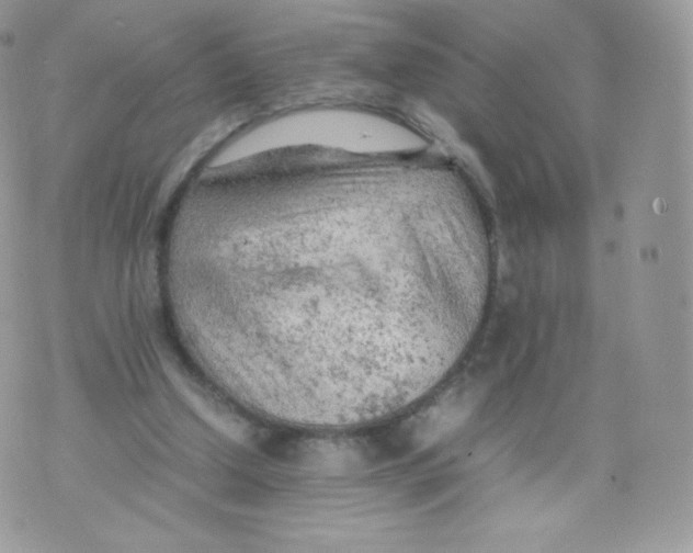 X0000074930250200609291804