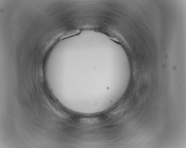 X0000074930251200609291804