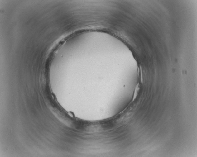 X0000074930252200609291804