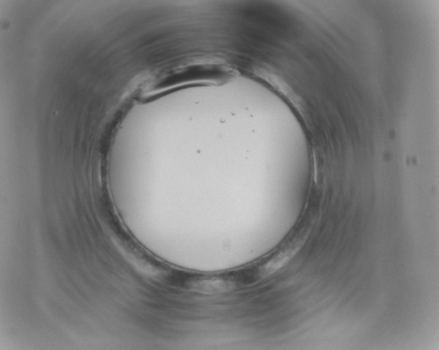 X0000074930253200609291804