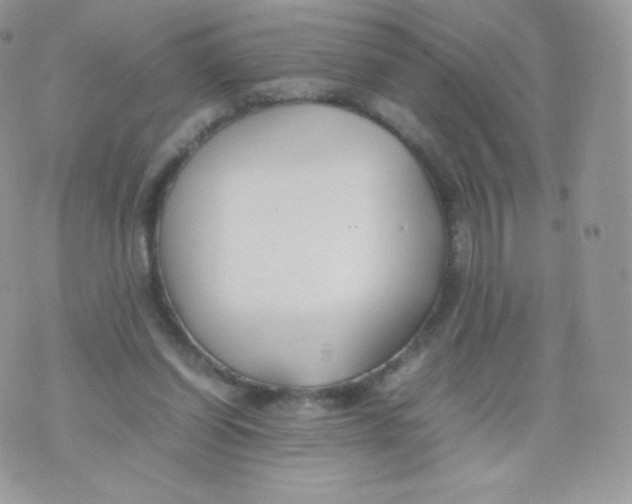 X0000074930254200609291804