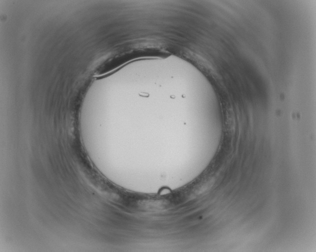 X0000074930255200609291804