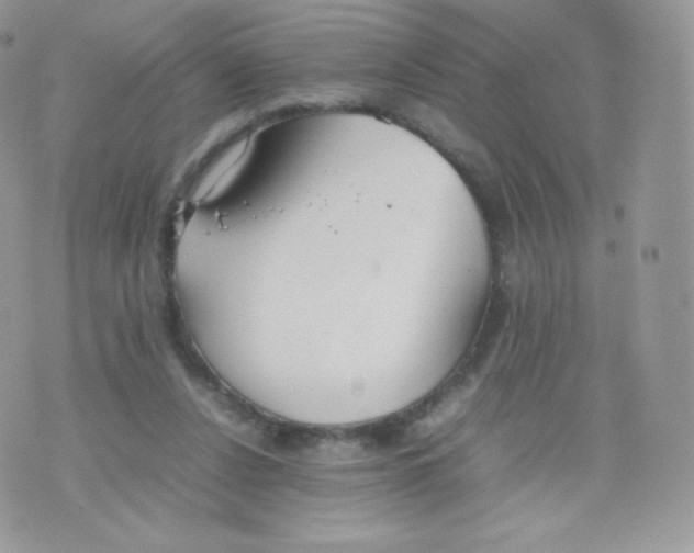 X0000074930256200609291804