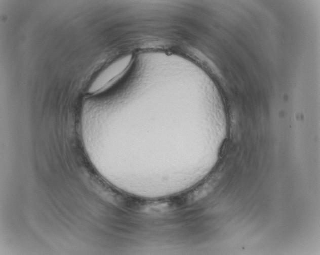 X0000074930257200609291804