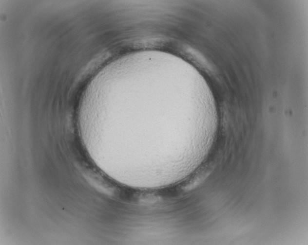 X0000074930258200609291804