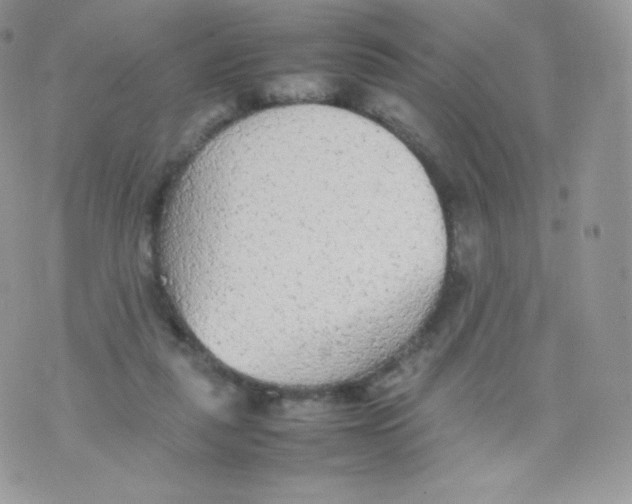 X0000074930259200609291804