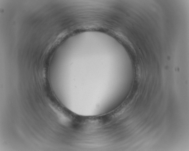 X0000074930260200609291804