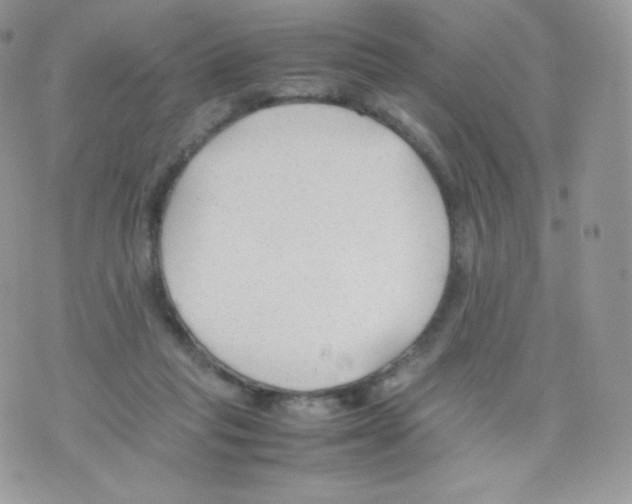 X0000074930261200609291804