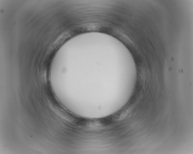 X0000074930262200609291804