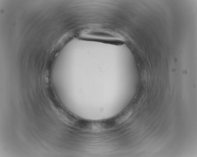 X0000074930264200609291804