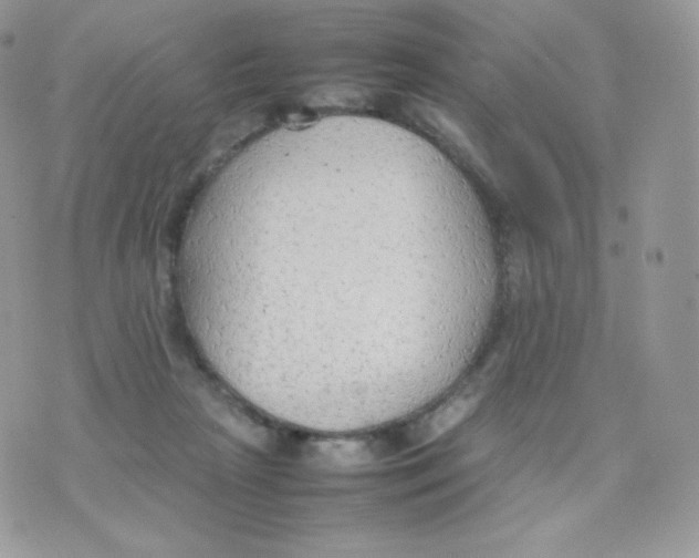 X0000074930265200609291804