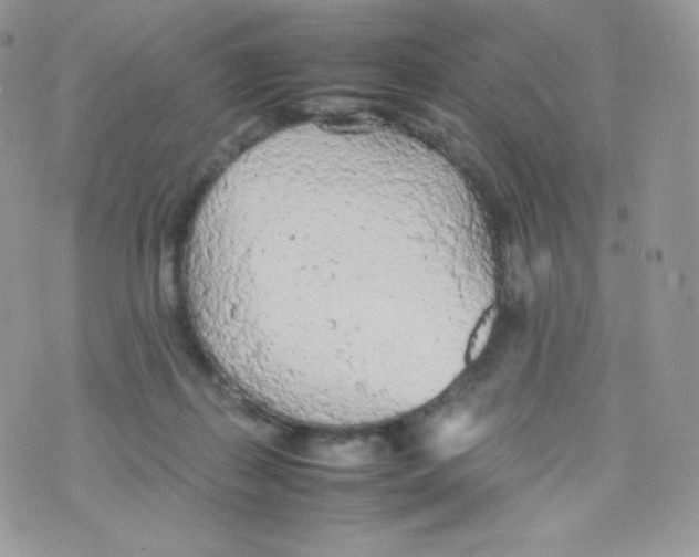 X0000074930267200609291804