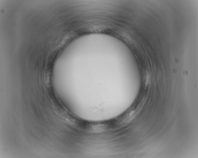 X0000074930268200609291804