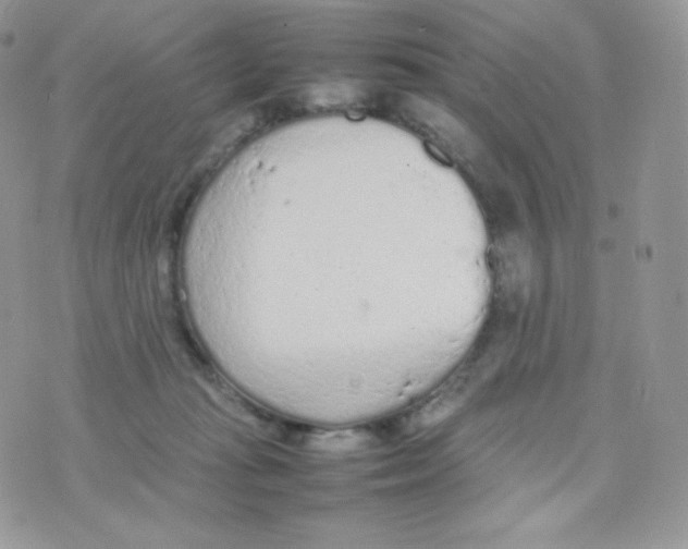 X0000074930269200609291804