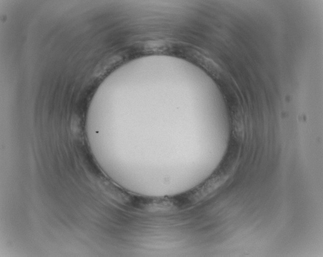 X0000074930270200609291805