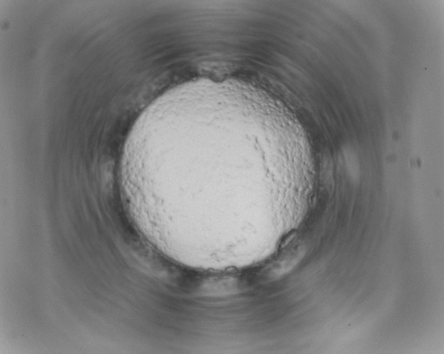 X0000074930271200609291805