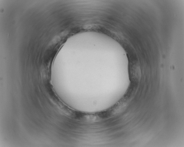 X0000074930272200609291805