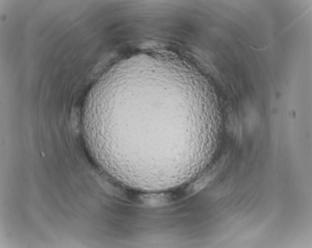 X0000074930273200609291805