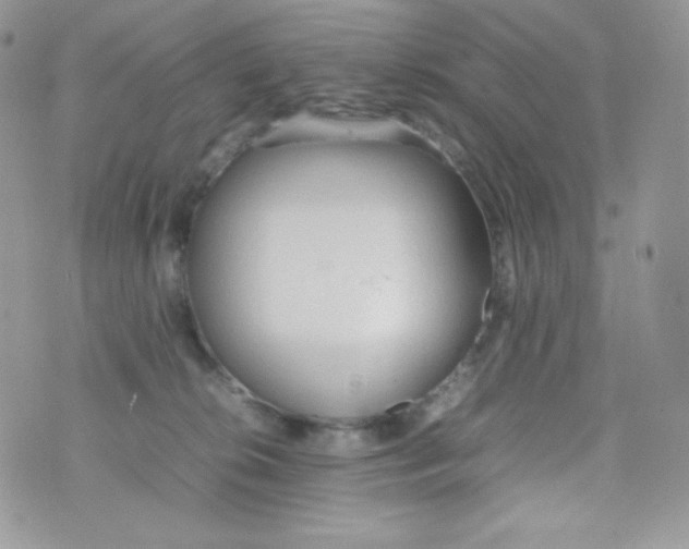 X0000074930276200609291805