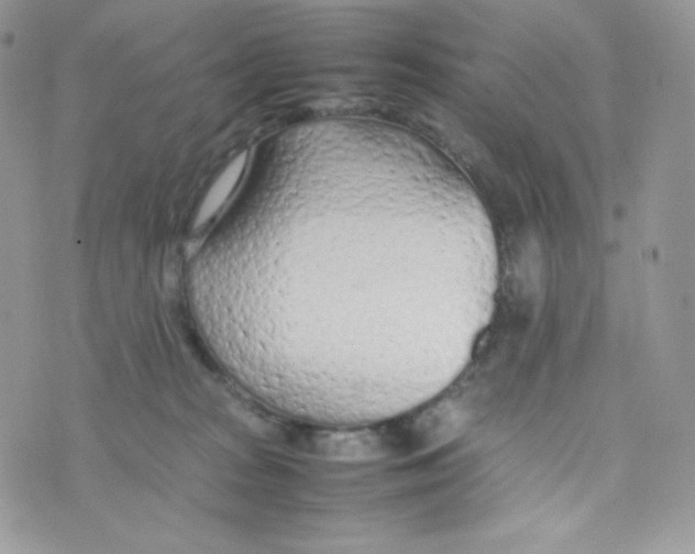 X0000074930277200609291805